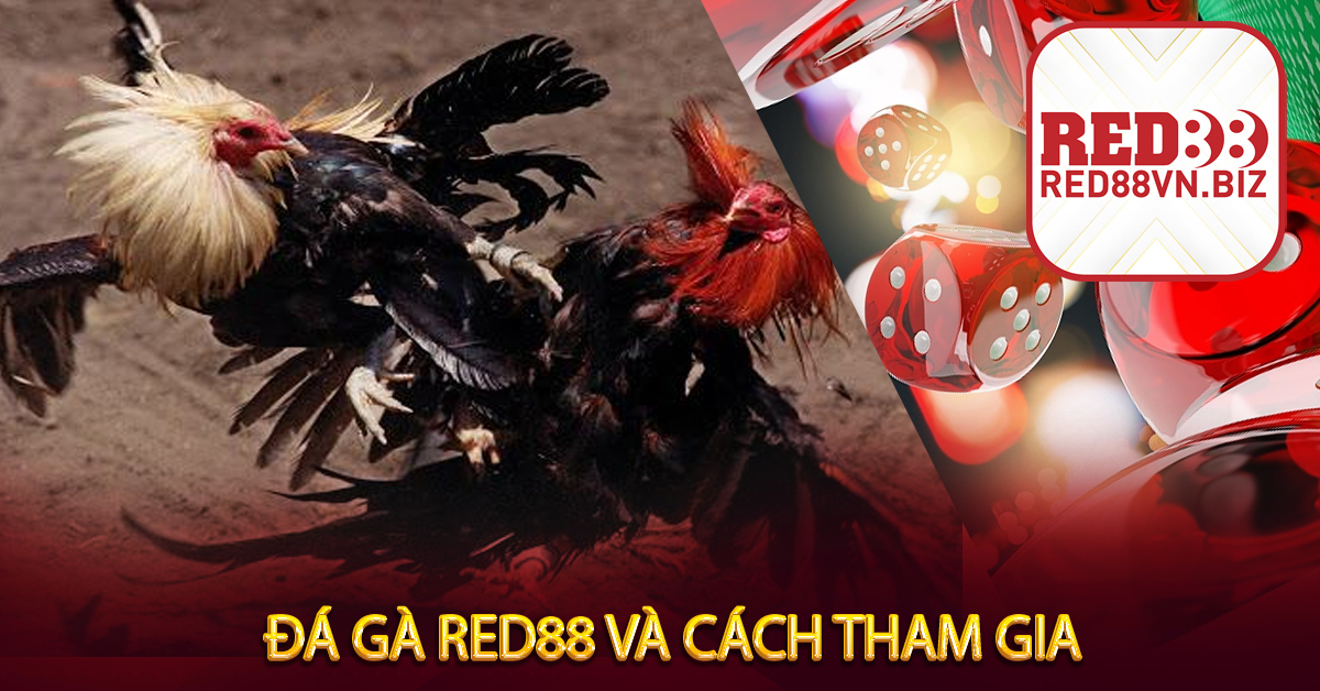 Đá Gà Red88⚡Bộ Môn Giải Trí Cực Mạnh⚡