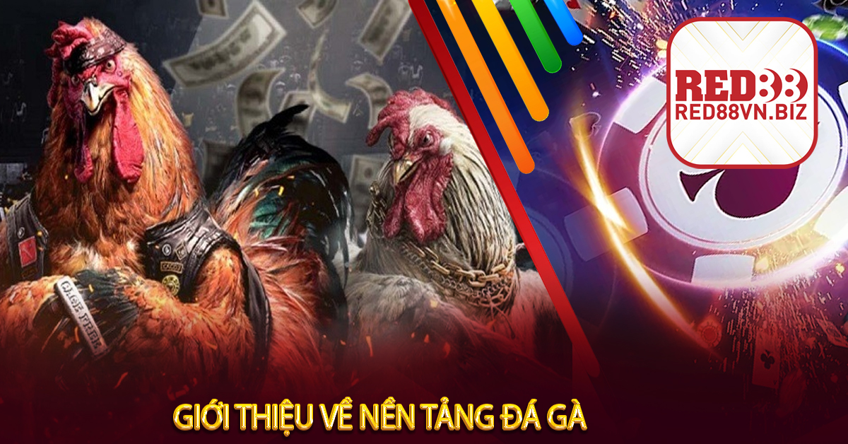 Giới Thiệu Red88⚡Một Trong Số Nhà Cái Uy Tín Từ Châu Âu