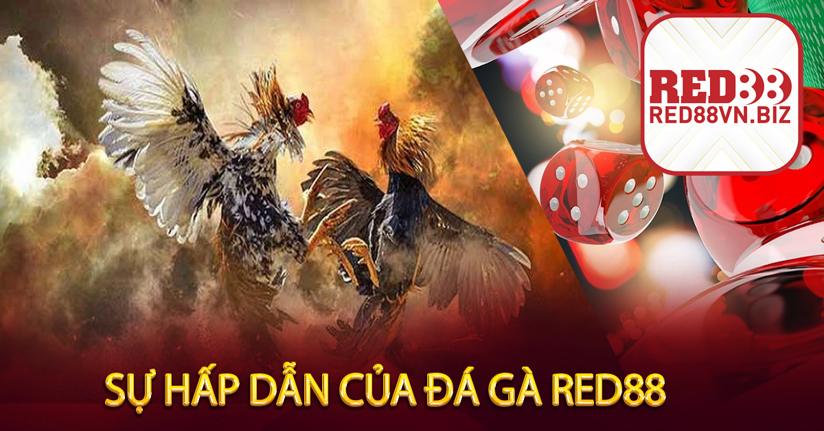 Đá Gà Red88⚡Bộ Môn Giải Trí Cực Mạnh⚡