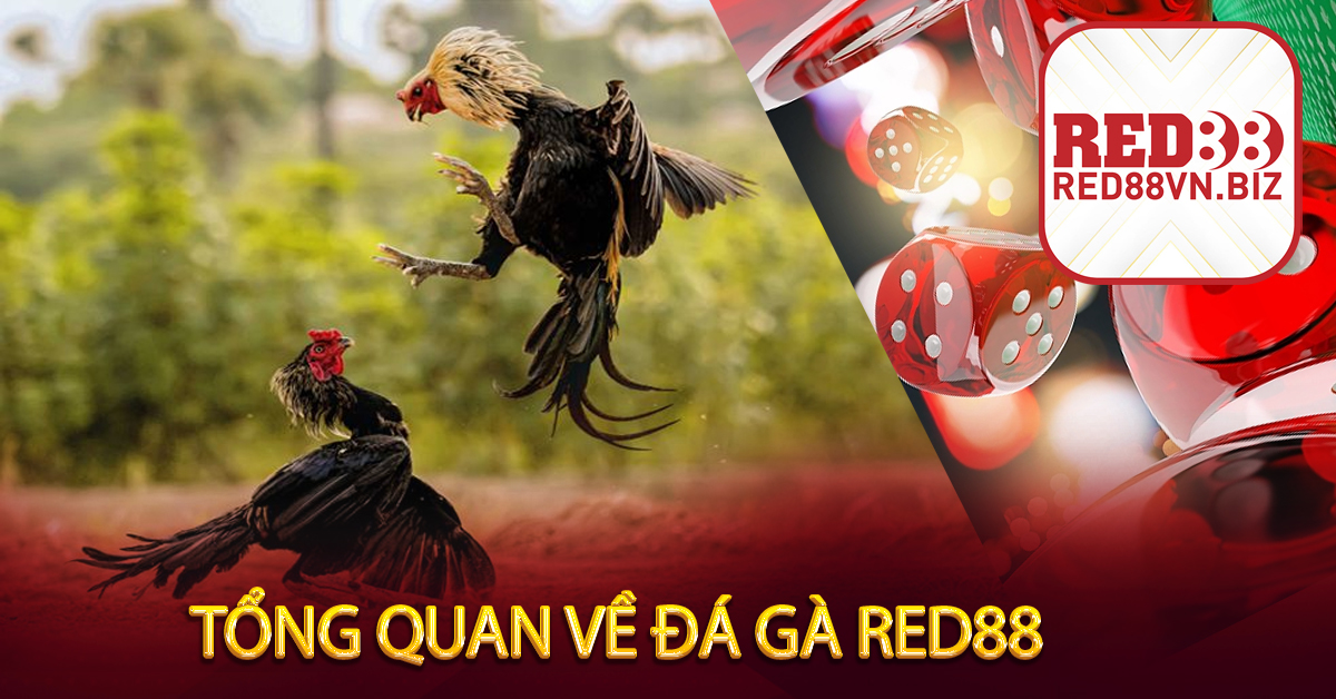 Đá Gà Red88⚡Bộ Môn Giải Trí Cực Mạnh⚡