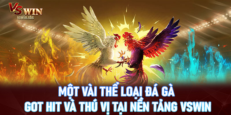 Đá gà vswin - Thưởng thức các trận chọi gà đỉnh cao nhất 2026 - RED88