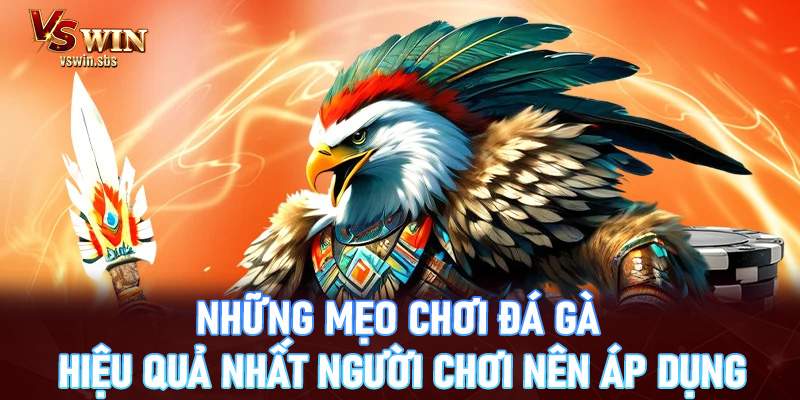 Đá gà vswin - Thưởng thức các trận chọi gà đỉnh cao nhất 2026 - RED88