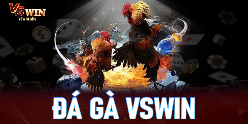 Đá gà vswin - Thưởng thức các trận chọi gà đỉnh cao nhất 2026 - RED88