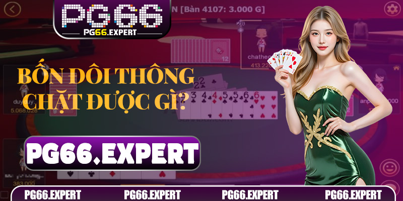 Bốn Đôi Thông Chặt Được Gì? Giải Đáp Cực Chuẩn Từ Chuyên Gia PG66 - RED88